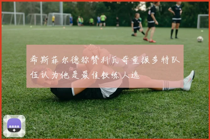 希斯菲尔德称赞科瓦奇重振多特队伍认为他是最佳教练人选