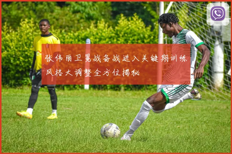 张伟丽卫冕战备战进入关键期训练风格大调整全方位揭秘